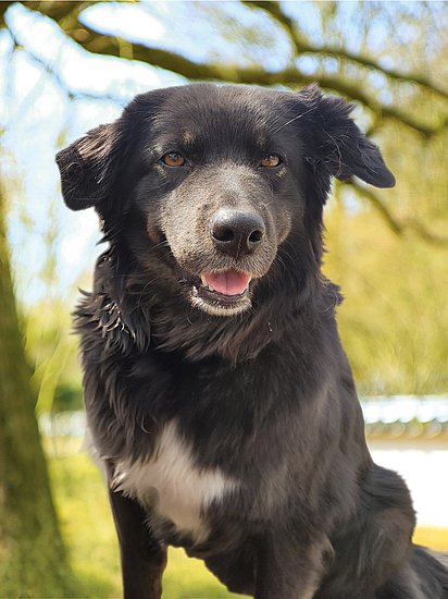 FeelGood Beauftragte: Lucy