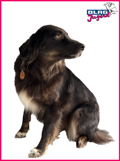FeelGood Beauftragte: Lucy